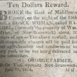 Collection: Slavery Era Newspaper Clippings
